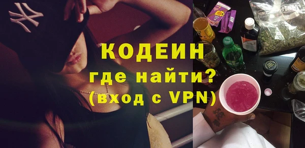 индика Горнозаводск