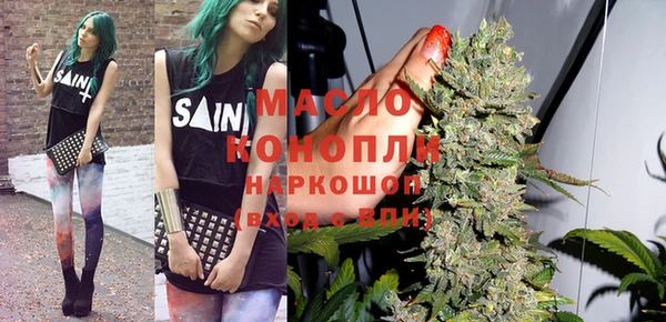 индика Горнозаводск