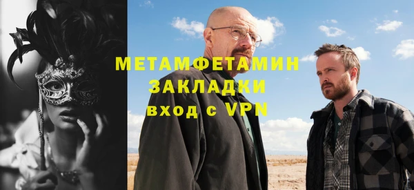 индика Горнозаводск