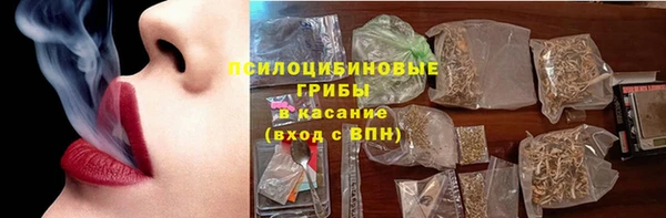 индика Горнозаводск