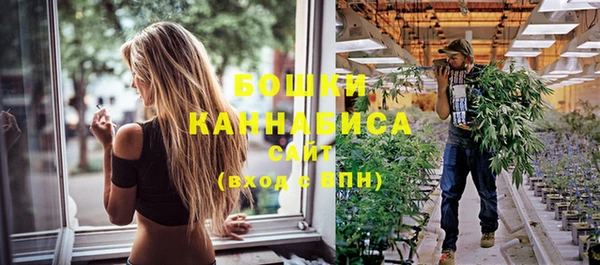 индика Горнозаводск