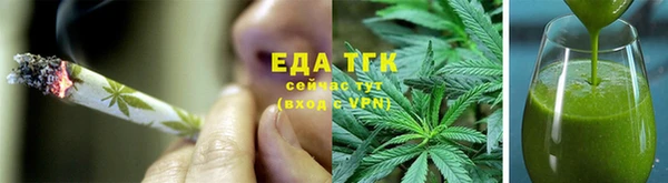 индика Горнозаводск