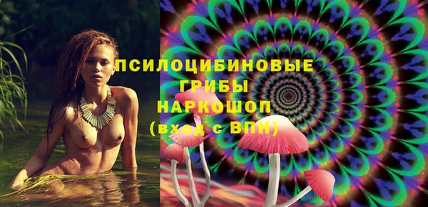 индика Горнозаводск