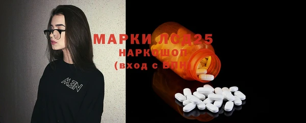 хмурый Горняк