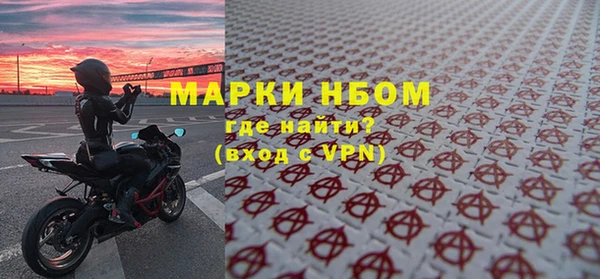 индика Горнозаводск