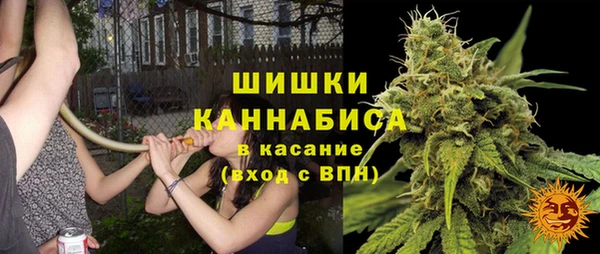 круглые Вязьма