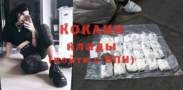 индика Горнозаводск