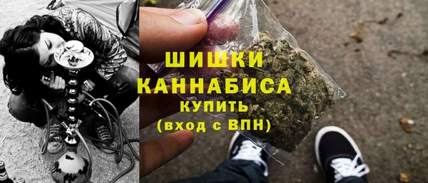 прущая мука Вяземский