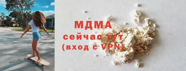 индика Горнозаводск
