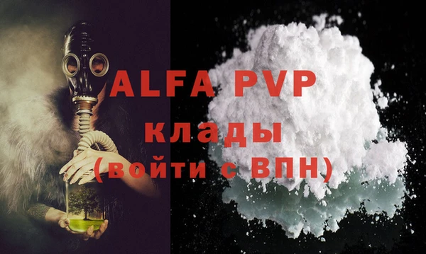 индика Горнозаводск