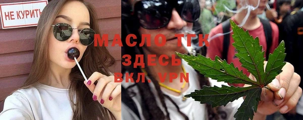 индика Горнозаводск
