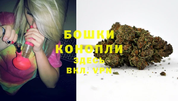Альфа ПВП Горно-Алтайск