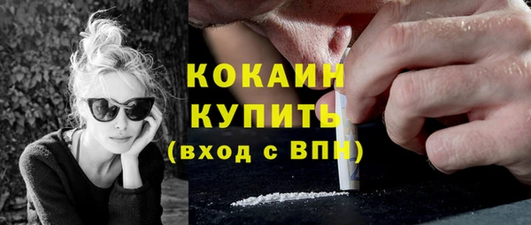 индика Горнозаводск