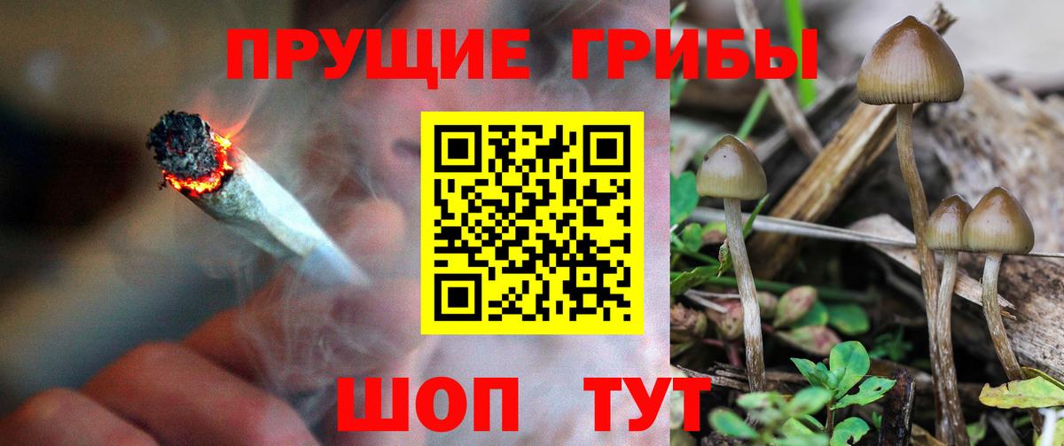 Галлюциногенные грибы GOLDEN TEACHER Нерюнгри