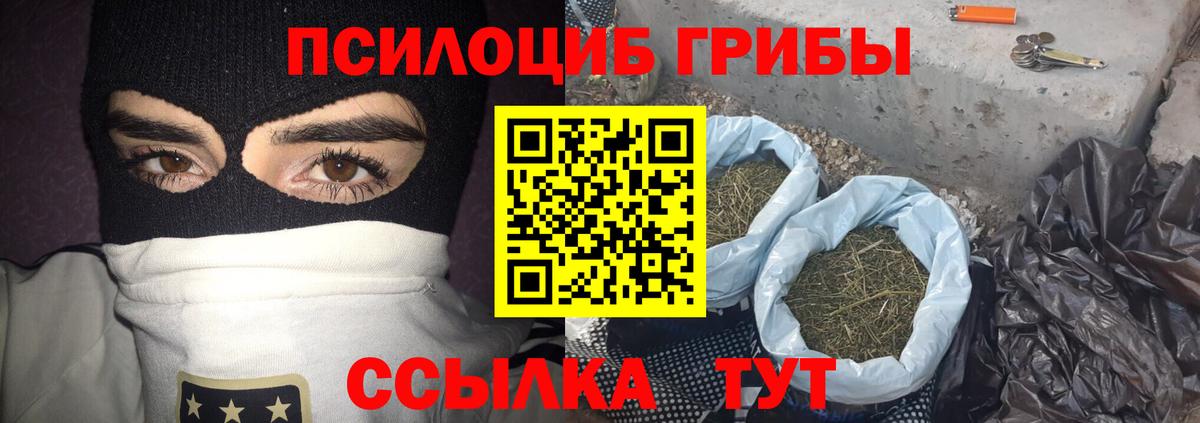 наркошоп  Нерюнгри  Псилоцибиновые грибы GOLDEN TEACHER 