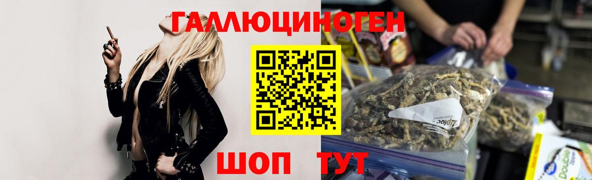 Галлюциногенные грибы GOLDEN TEACHER  купить наркотики цена  Нерюнгри  Псилоцибиновые грибы мухоморы  Вход с VPN 